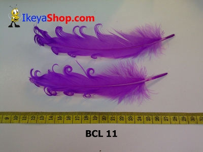 bulu curly BCL 11   feather  large2